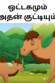 Camel And Baby Tamil Kids Story – ஒட்டகமும் அதன் குட்டியும்