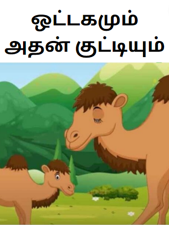 Camel And Baby Tamil Kids Story – ஒட்டகமும் அதன் குட்டியும் Camel And Baby Tamil Kids Story – ஒட்டகமும் அதன் குட்டியும்