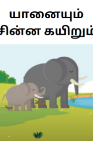 Elephant rope story in tamil யானையும் சின்ன கயிறும்