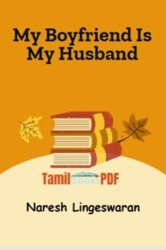 My Boyfriend Is My Husband by Naresh Lingeswaran