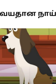 Old Dog Tamil story With Moral (வயதான நாய் )