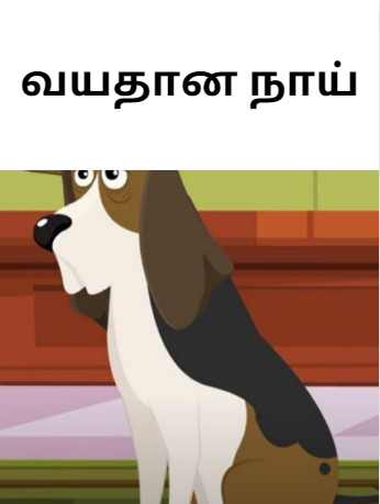 Old Dog Tamil story With Moral (வயதான நாய் ) Old Dog Tamil story With Moral (வயதான நாய் )