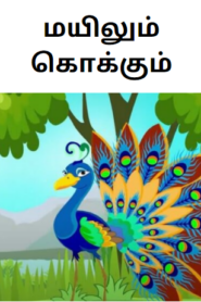 Peacock and Crane Tamil Kids Story மயிலும் கொக்கும்