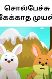 Peter Rabbit in Tamil – Kids Bedtime Story – சொல்பேச்சு கேக்காத முயல்
