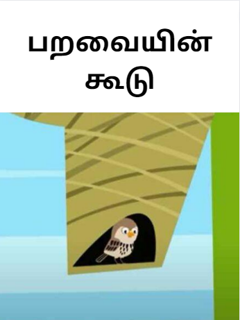 Short story on birds with moral பறவையின் கூடு Short story on birds with moral பறவையின் கூடு