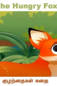 The Hungry Fox – Tamil Animal Stories – பசித்த நரி
