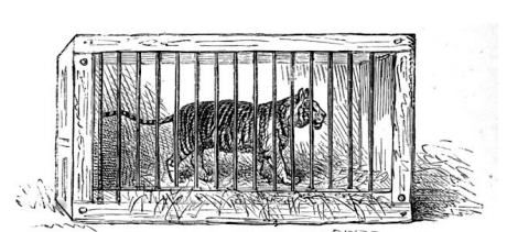 எழுதத் தெரிந்த புலி - நீதிக் கதைகள் - Tamil Kathaigal எழுதத் தெரிந்த புலி – நீதிக் கதைகள் – Tamil Kathaigal