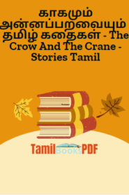 காகமும் அன்னப்பறவையும் – தமிழ் கதைகள் – The Crow And The Crane – Stories Tamil