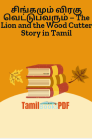சிங்கமும் விரகு வெட்டுபவரும் – The Lion and the Wood Cutter Story in Tamil