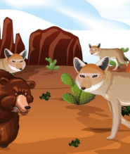 நரியும் கரடியும் – Fox And Bear