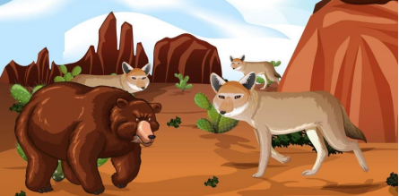நரியும் கரடியும் – Fox And Bear