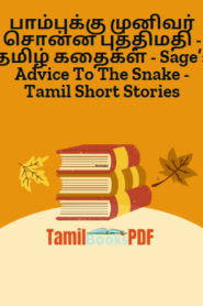 பாம்புக்கு முனிவர் சொன்ன புத்திமதி – தமிழ் கதைகள் – Sage’s Advice To The Snake – Tamil Short Stories