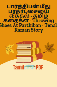 பார்த்திபன் மீது பாதரட்சையை வீசுதல் – தமிழ் கதைகள் – Throwing Shoes At Parthiban – Tenali Raman Story