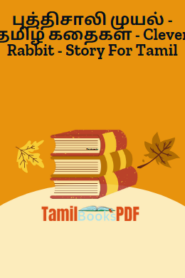 புத்திசாலி முயல் –  தமிழ் கதைகள் – Clever Rabbit – Story For Tamil