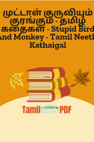 முட்டாள் குருவியும் குரங்கும் – தமிழ் கதைகள் – Stupid Bird And Monkey – Tamil Neethi Kathaigal