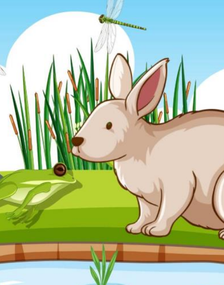 முயல்களும் தவளைகளும் - Rabit And Frog Short Story - நீதி கதைகள் முயல்களும் தவளைகளும் – Rabit And Frog Short Story – நீதி கதைகள்