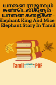 யானை ராஜாவும் சுண்டெலிகளும் – யானை கதைகள் – Elephant King And Mice – Elephant Story In Tamil