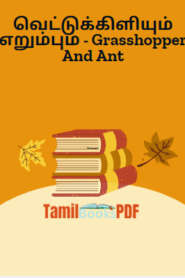 வெட்டுக்கிளியும் எறும்பும் – Grasshopper And Ant