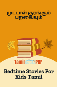 முட்டாள் குரங்கும் பறவையும் – Foolish Monkey And A Bird – Bedtime Stories For Kids Tamil