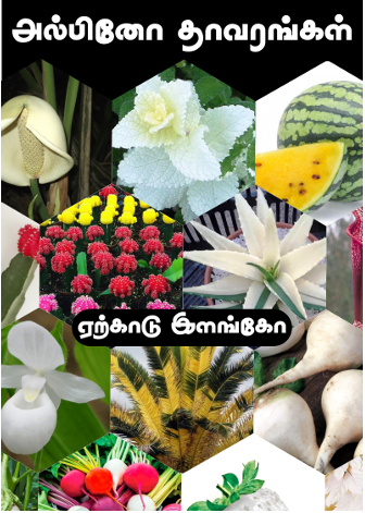 அல்பினோ தாவரங்கள் – Albino Plants by Yercaud Elango
